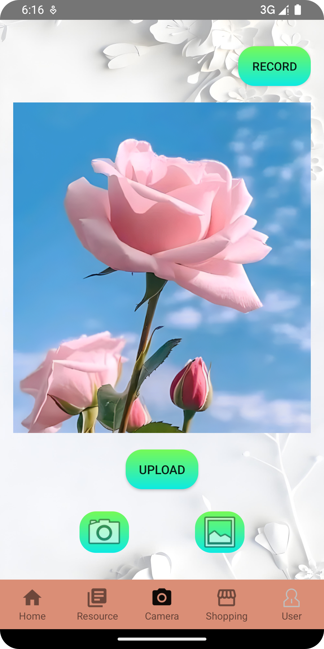 BloomBox Preview